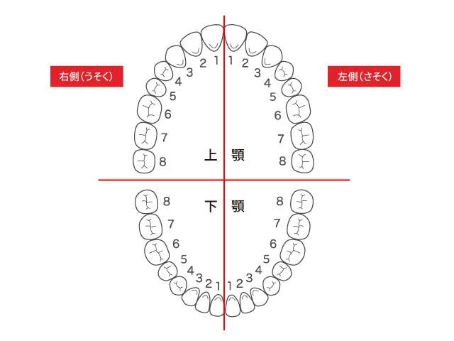 Zsigmondy & Palmer方式