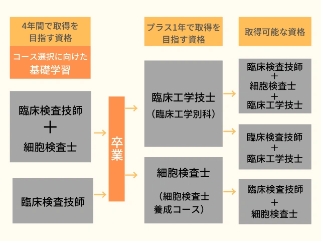 【九州】九州保健福祉大学