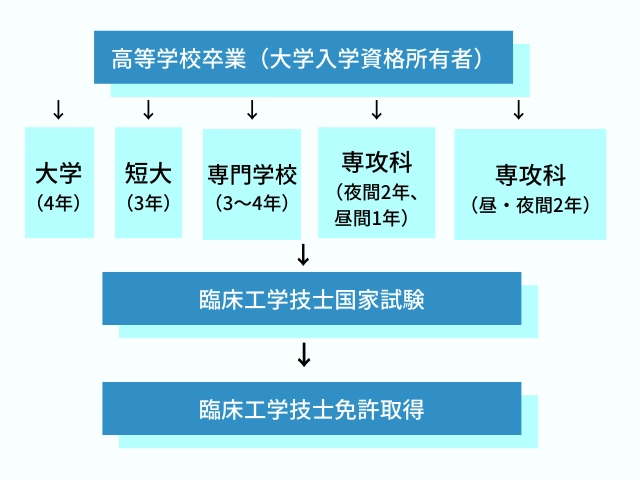 臨床工学技士をめざすロードマップ