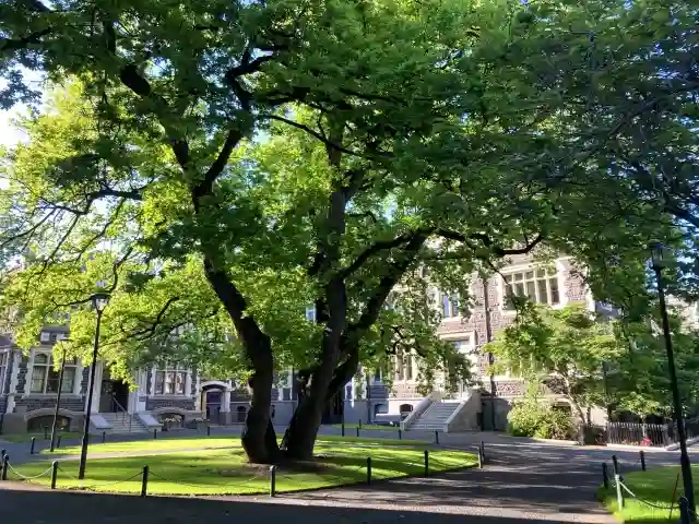 診療放射線技師の資格が取得できる大学を一挙大公開
