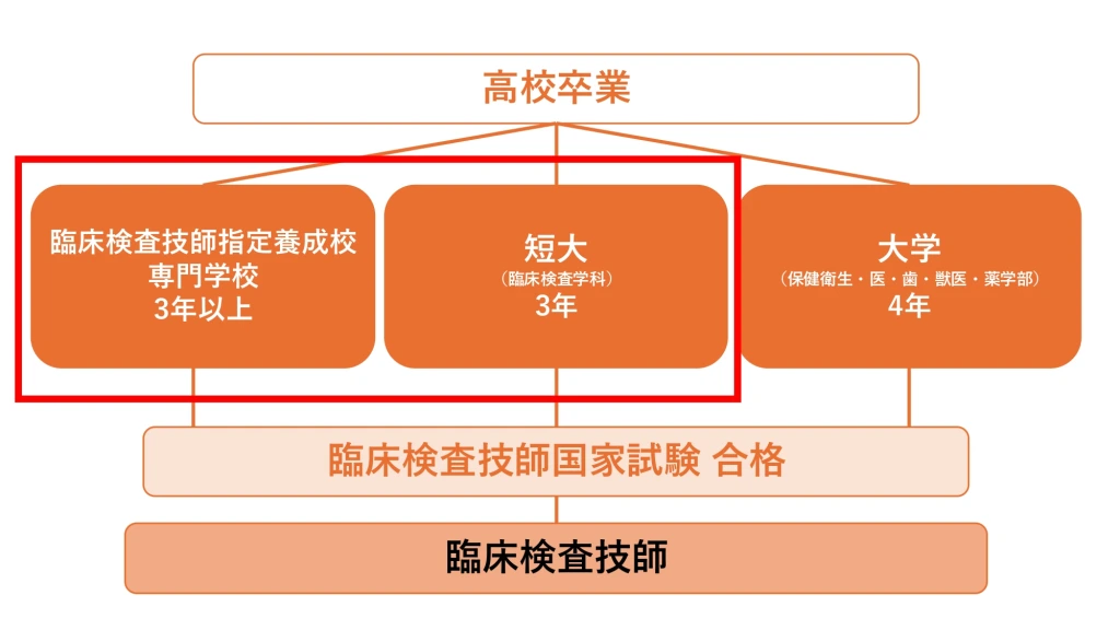 臨床検査技師になるための最短ルートは？