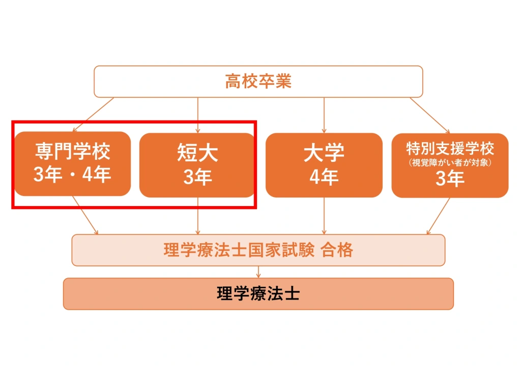 最短で理学療法士になるには何年必要？